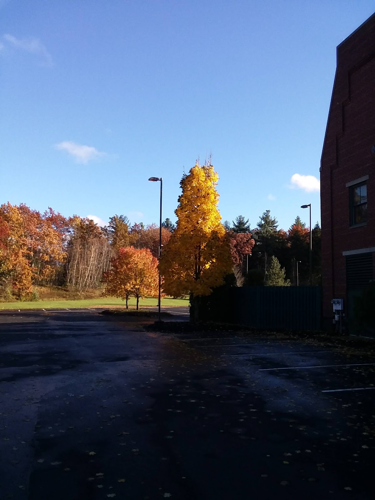 ColoSpace - Bedford, NH, a photo of the site