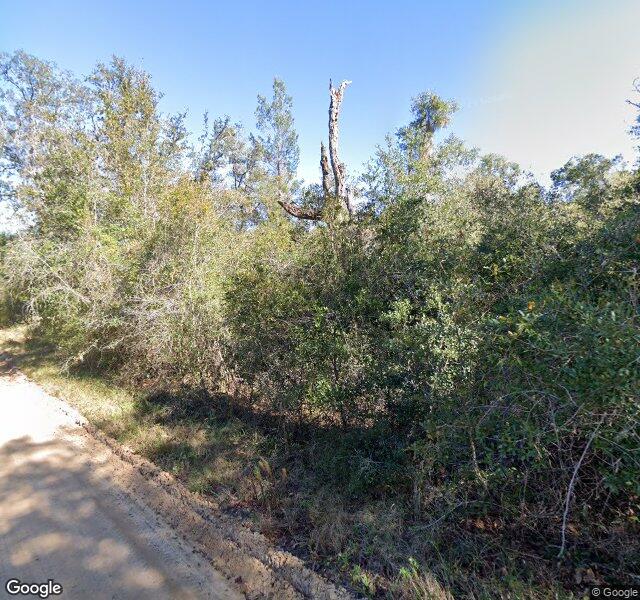 East Palatka 135 Gilbert Road data center site (CBRE listing), a photo of the site