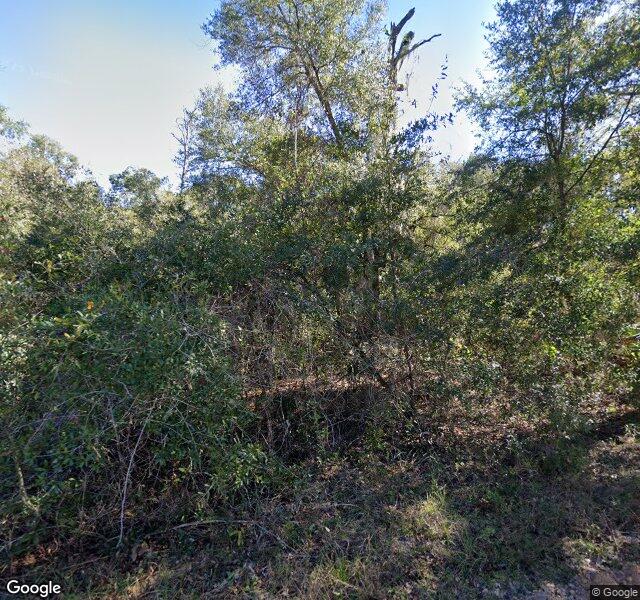 East Palatka 135 Gilbert Road data center site (CBRE listing), a photo of the site