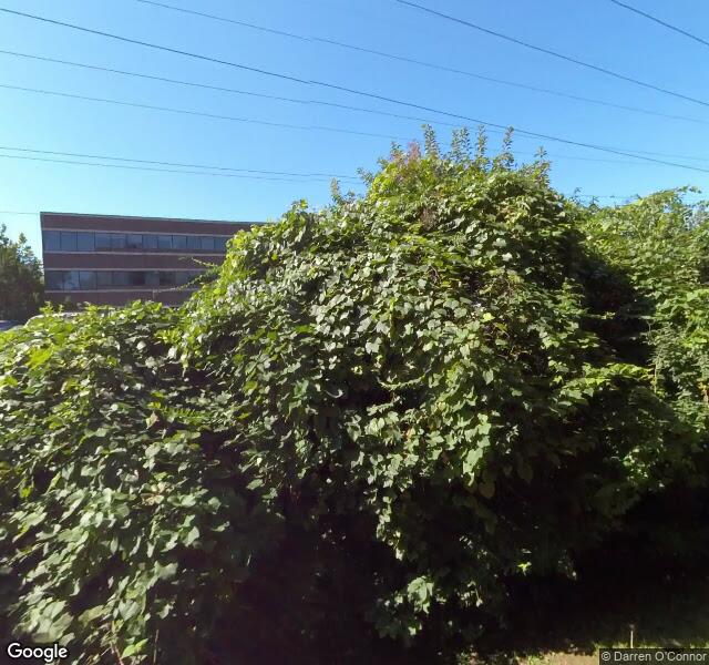 Evocative Virginia (VA1), a photo of the site