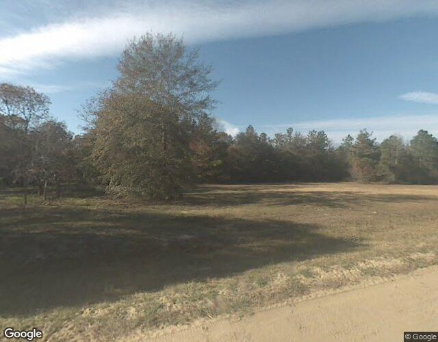 Project Camellia (OpenAI), a photo of the site