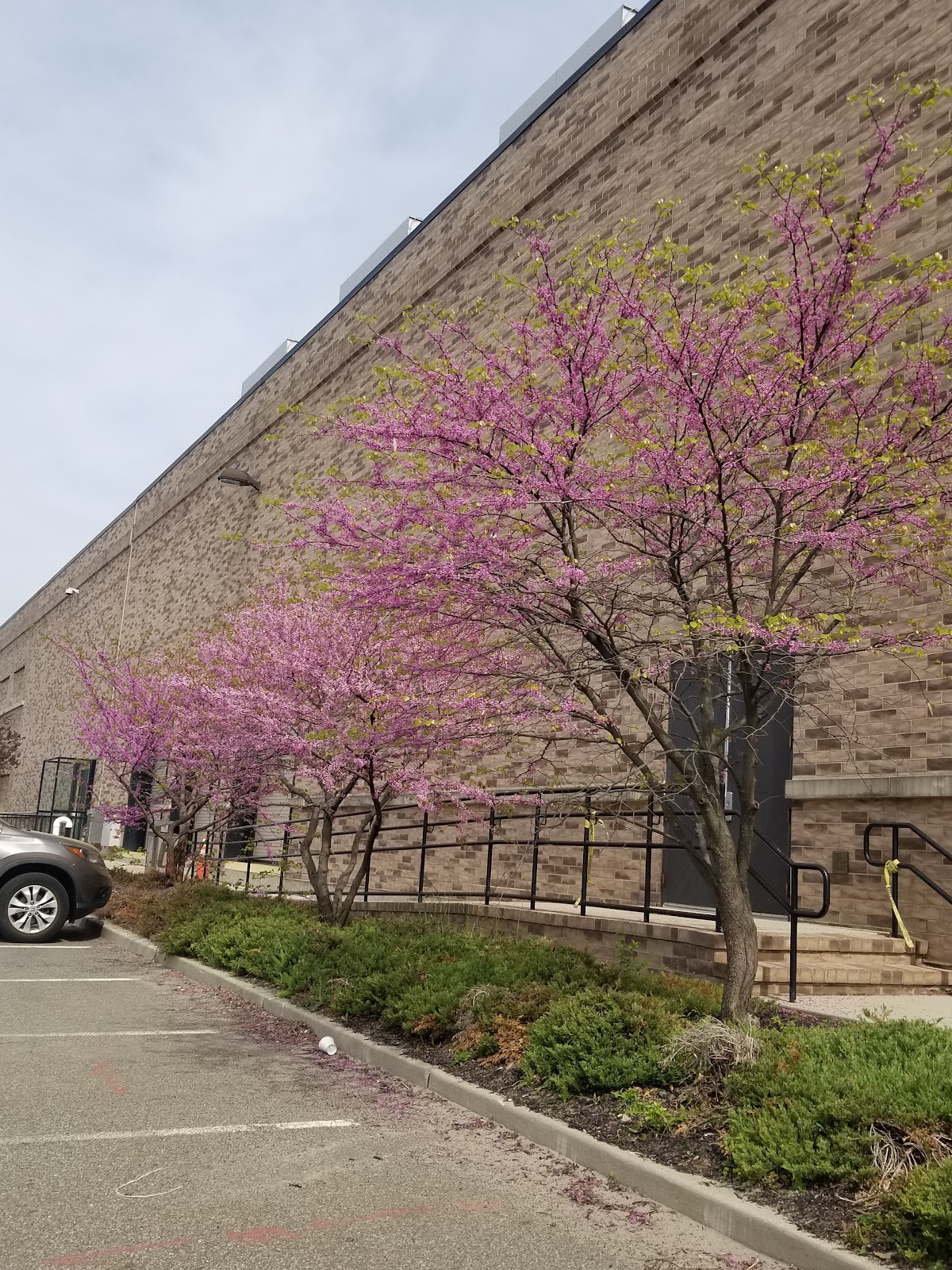 Sungard AS Carlstadt 777, a photo of the site